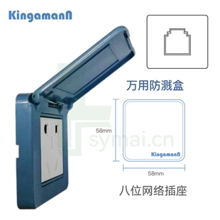 金嘉满(Kingamann)  特种防水防尘插座 KS-A09 八位电脑网络插插座-蓝色